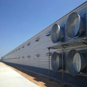 Chicken Farm | Metal Steel Building(Ethiopia Project) - K-HOME