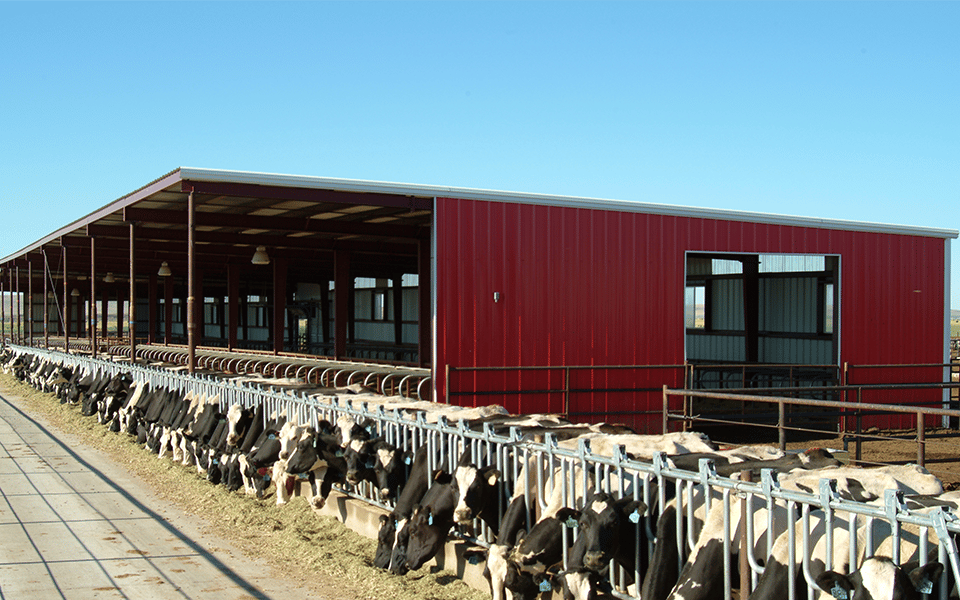 steel structure farm shed