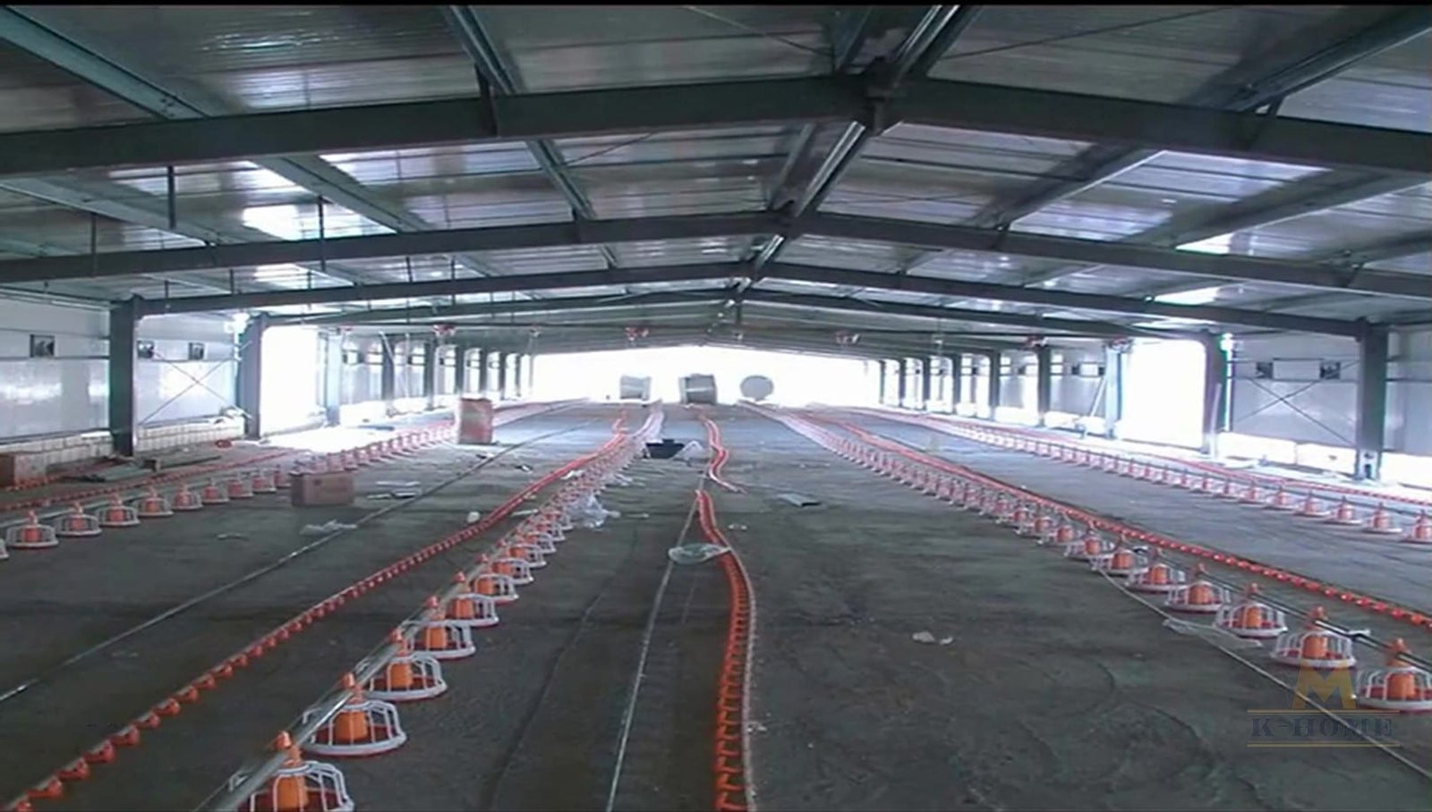 Steel livestock building