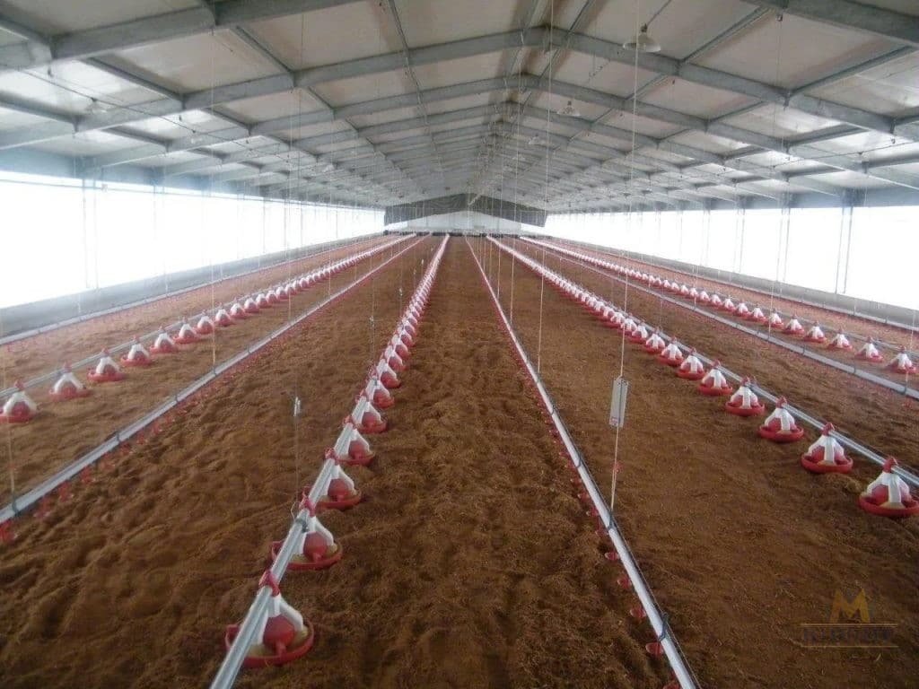 Steel livestock building