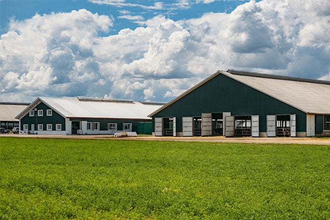 metal horse barns&stables
