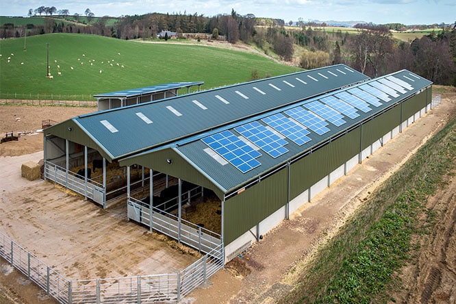 steel horse shelter
