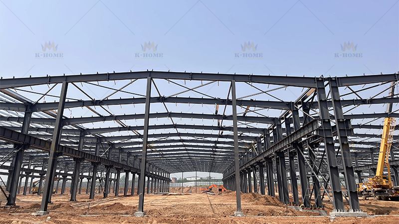 Multi-Span Steel Building