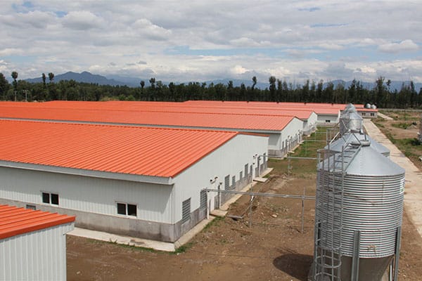 Steel livestock farm